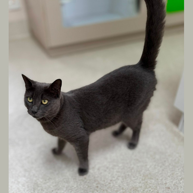 Photo of Luen (9019)