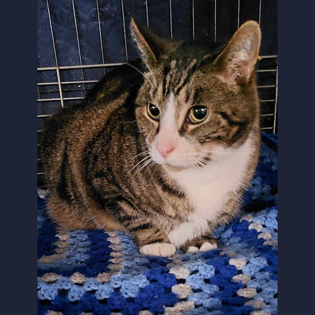 Photo of Scootie