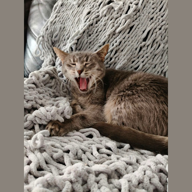 Photo of Tammy