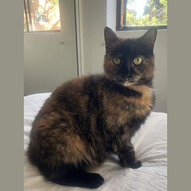 Photo of Wiggles