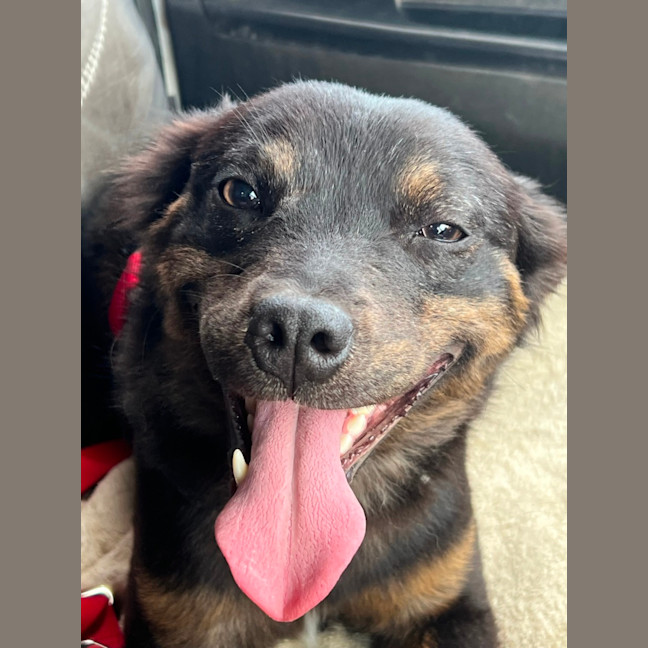 Photo of Pippa