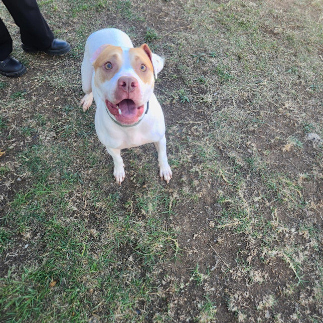 Photo of Tina (63338)