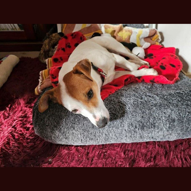 Photo of Jacky Chan Peggotty