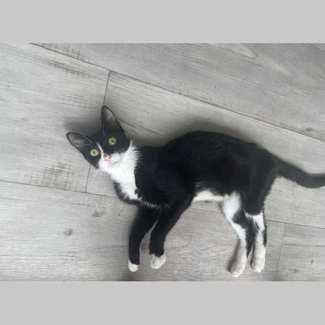 Photo of Carol (8905)