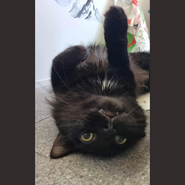 Photo of Cash