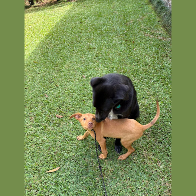 Photo of Delta