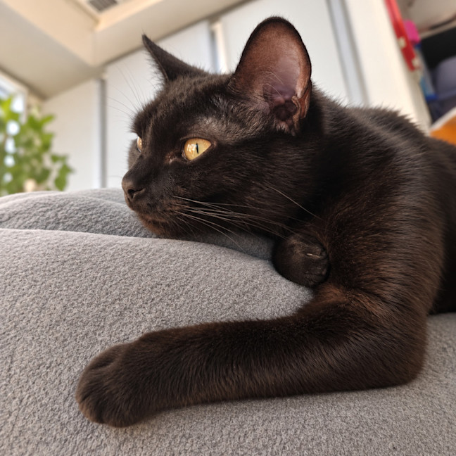 Photo of Sabrina