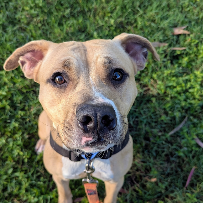 Photo of Jedda