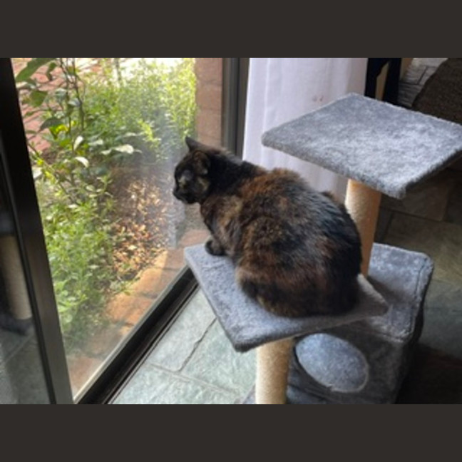 Photo of Charlotte