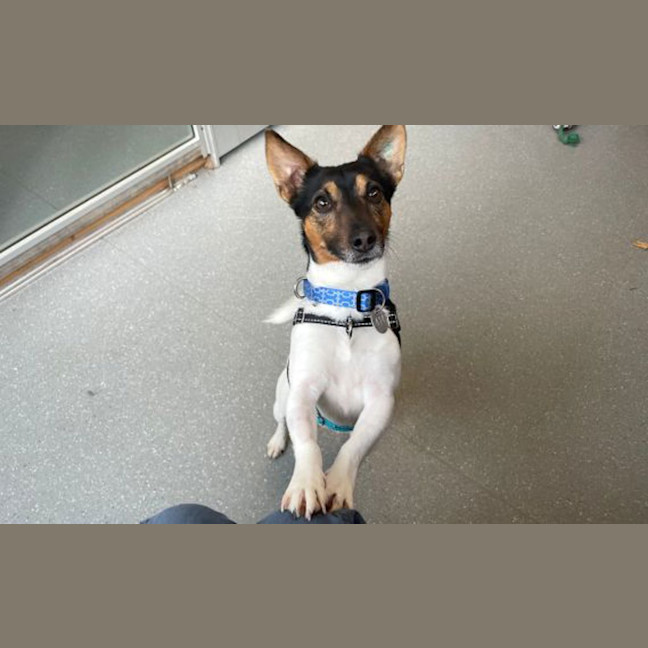 Photo of Reggie