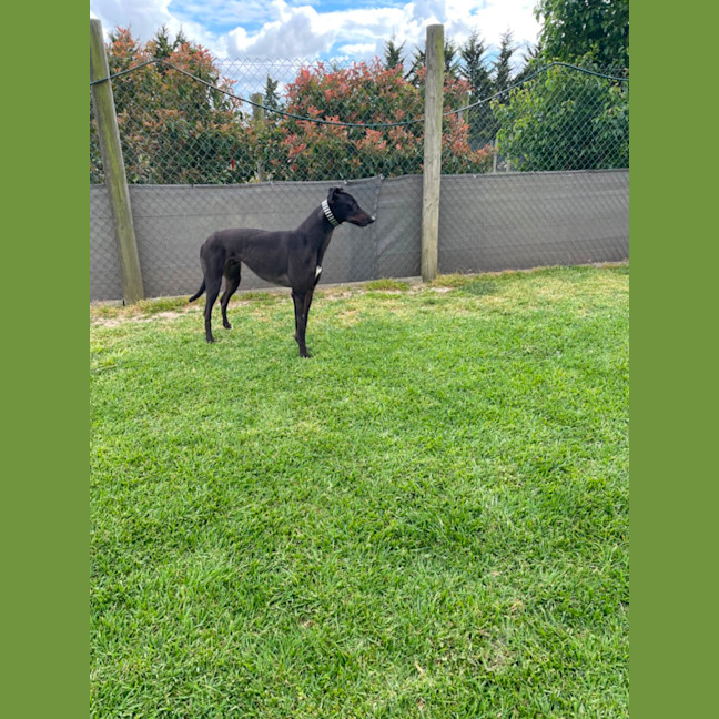 Photo of Marco …….Polo No Just Joking His Name Is Marko