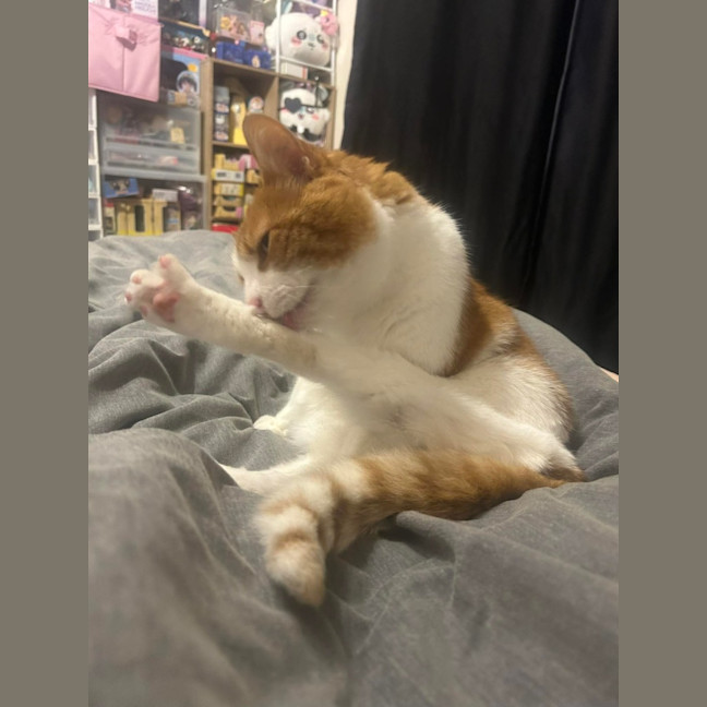 Photo of Charlie 
