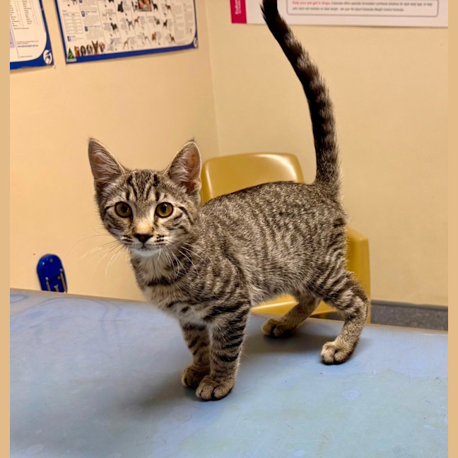 Photo of Bruce Wayne