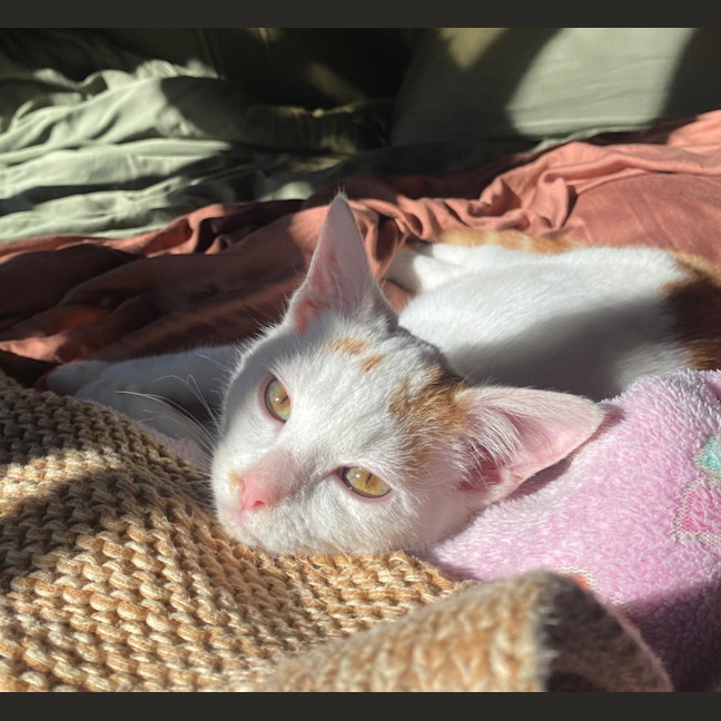 Photo of Kenny Rogers 
