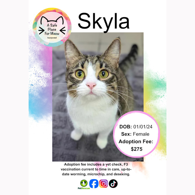 Photo of Skyla