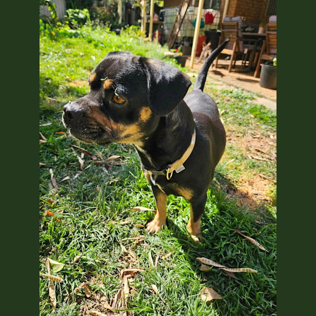 Photo of Emmy 
