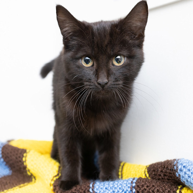 Photo of Morticia