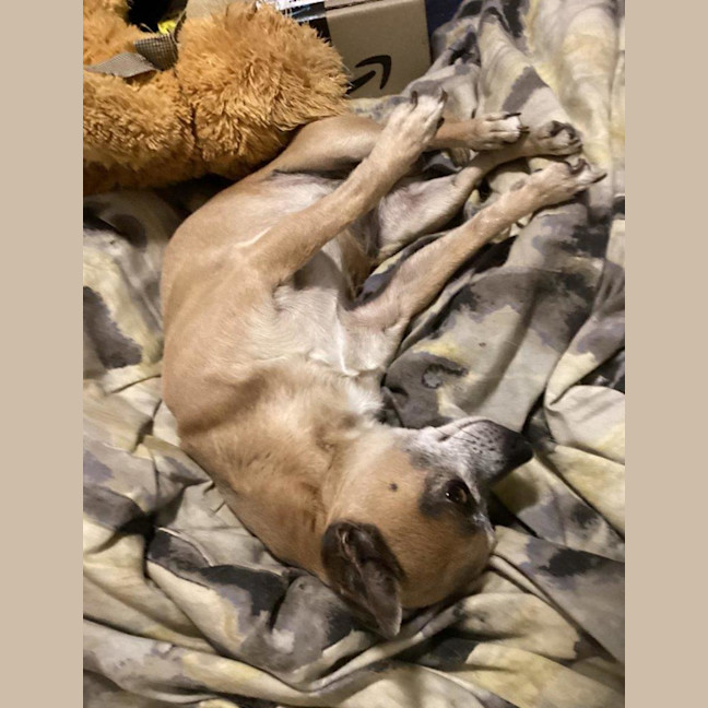 Photo of Goose And Stevie Uffelman