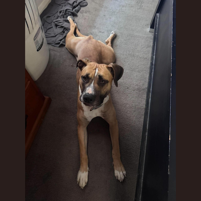 Photo of Delilah