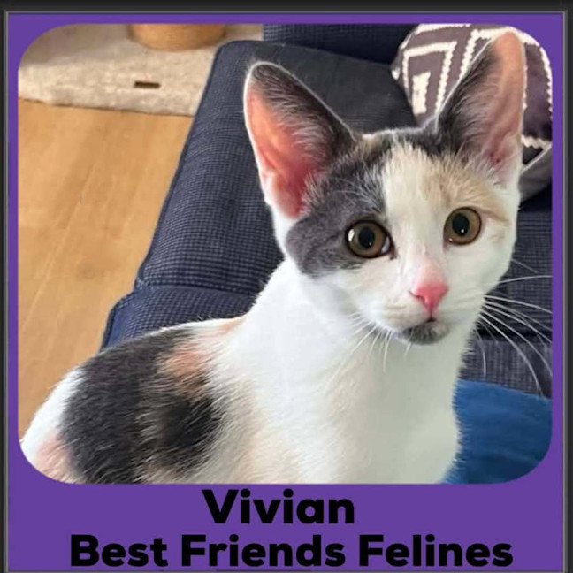 Photo of Vivian 