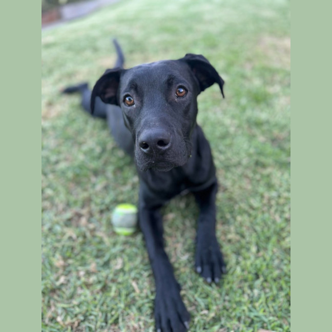 Photo of Max