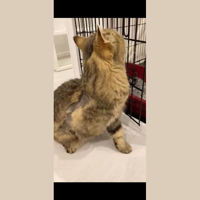 Photo of Big Boy