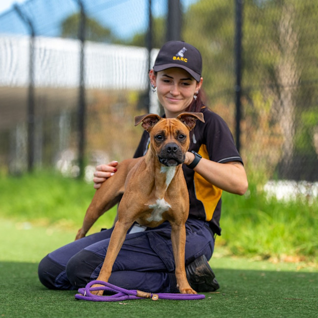 Photo of Monkey Imp 2491