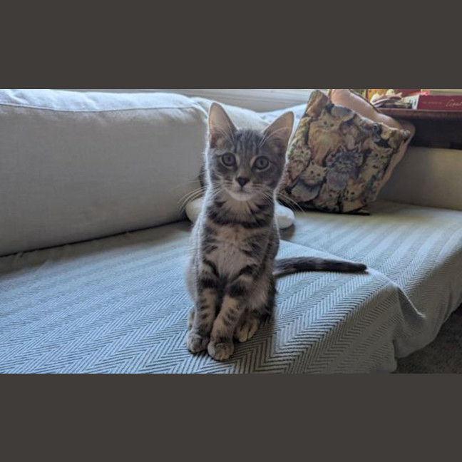 Photo of Disco