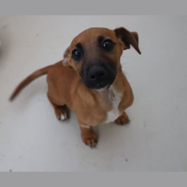 Photo of Mable