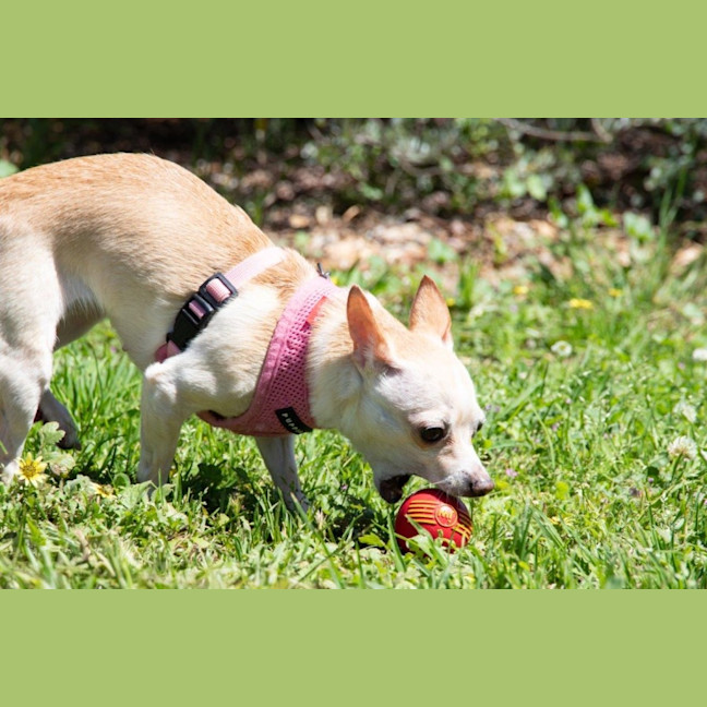 Photo of Holly Silvanus