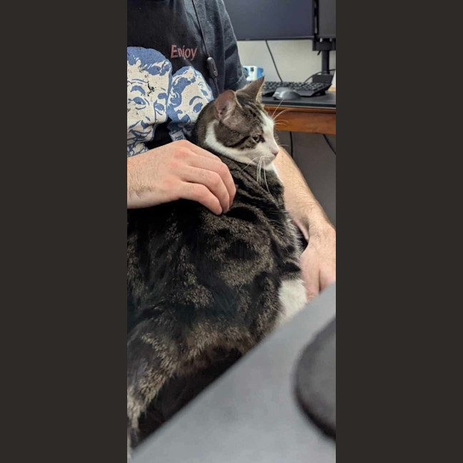 Photo of 🤠 Bandit 🤠