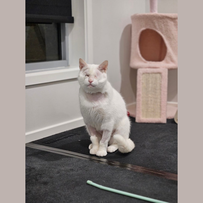 Photo of Tilly