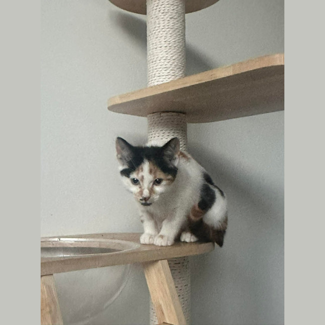 Photo of Sasha