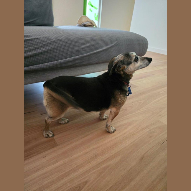 Photo of Barney Lozano