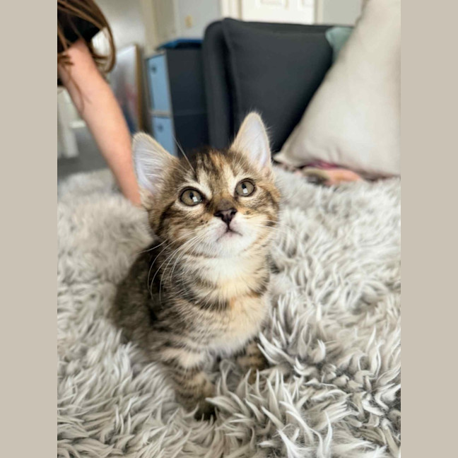 Photo of June & Simba 