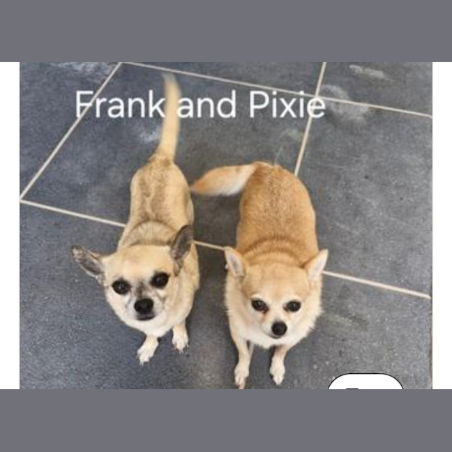 Photo of Pixie And Frank 