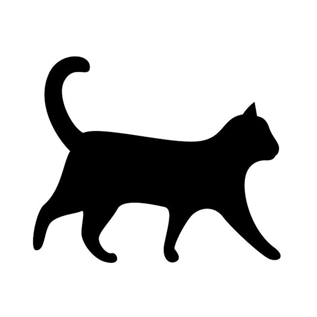 Photo of Sylvester (Bonded With Cleopatra)