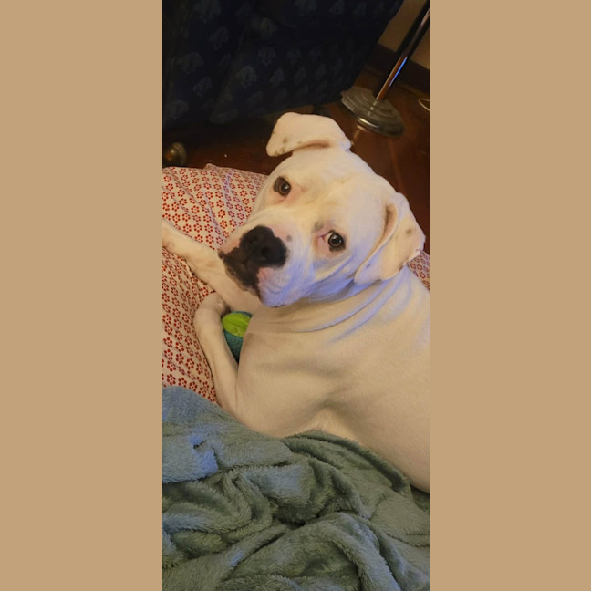 Photo of Lily