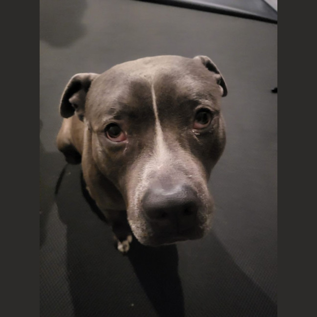 Photo of Ace