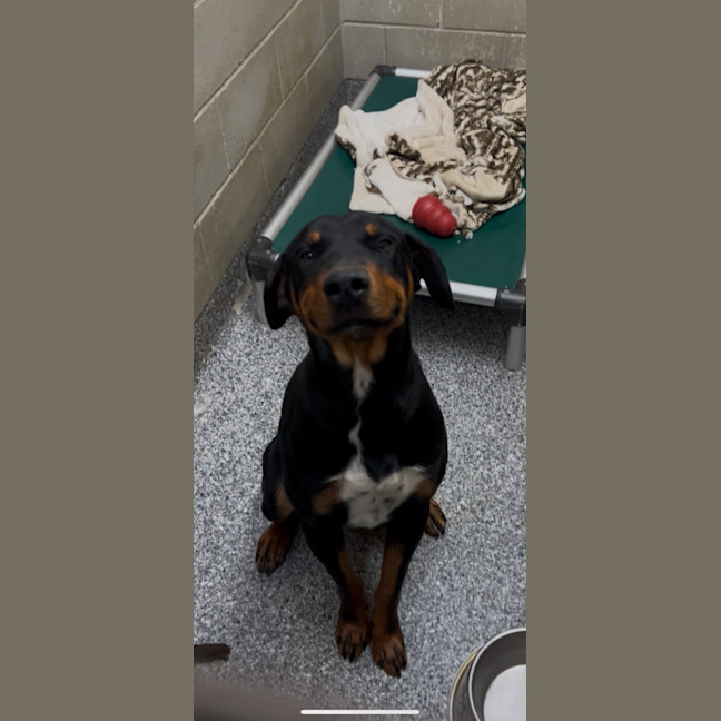 Photo of Smiley Pete