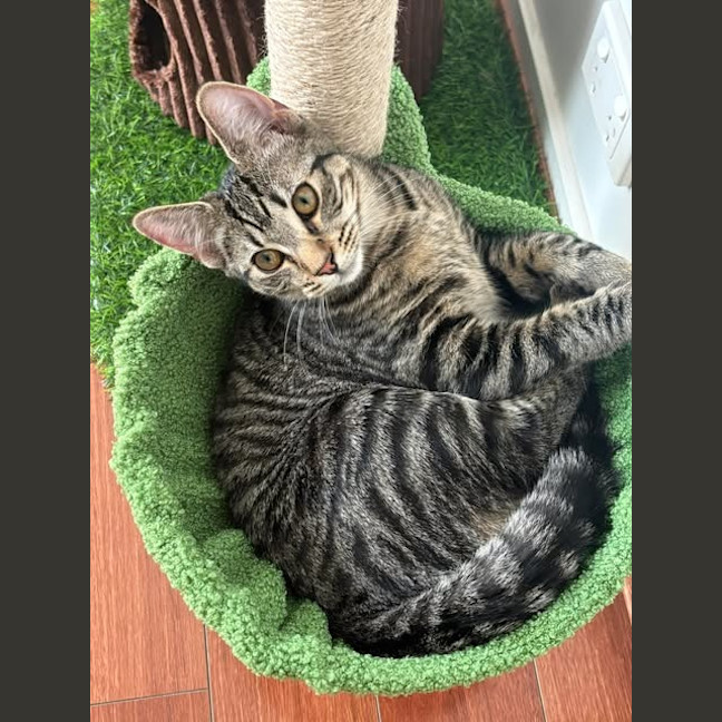Photo of Gwen