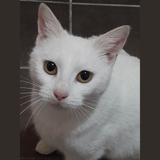Photo of Antoinette