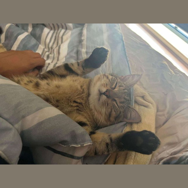 Photo of Nueve (Nui)