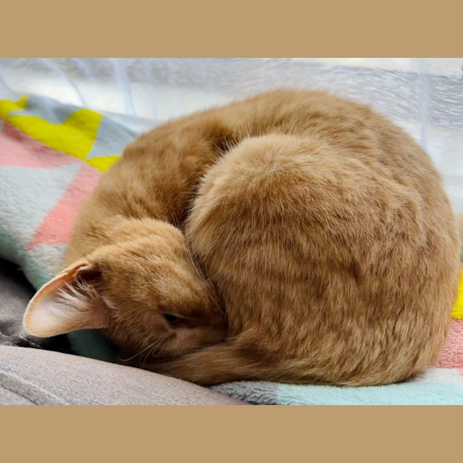 Photo of Abigail   Located In Fairfield