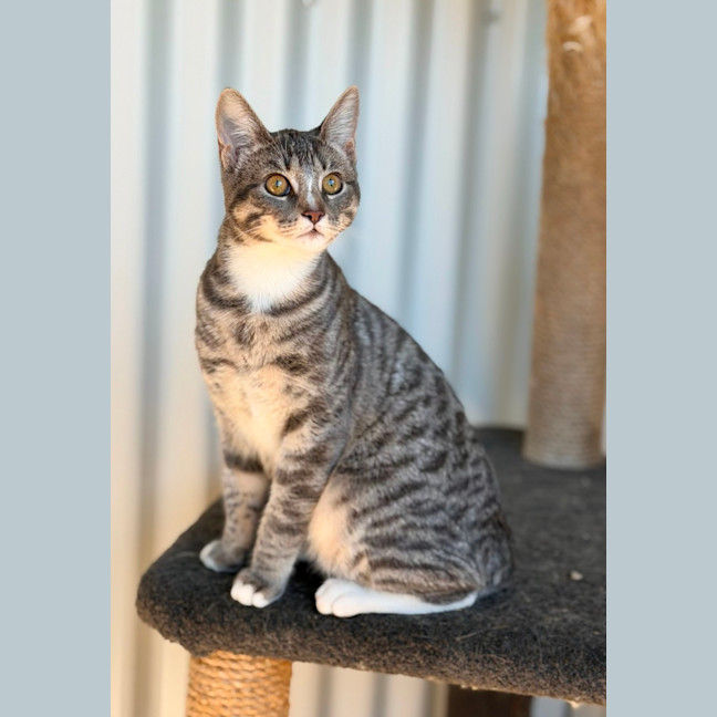 Photo of Maeve