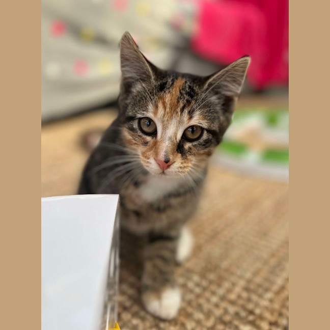 Photo of 💚 Charlee 💚