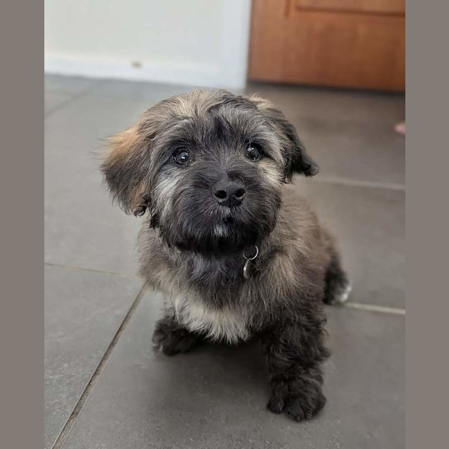 Photo of Flynn