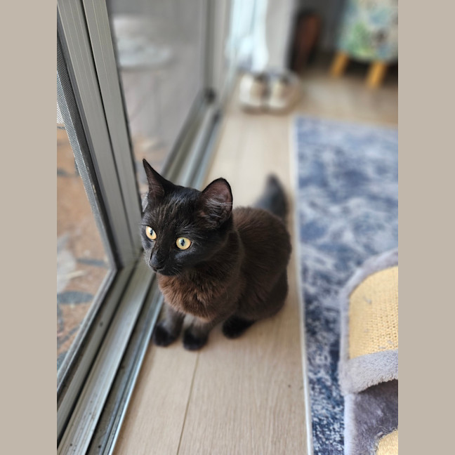 Photo of Cleo
