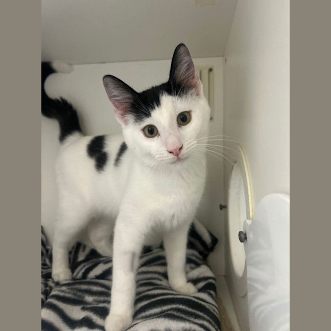 Photo of Wednesday
