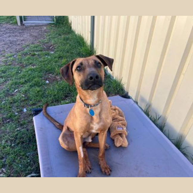 Photo of Finley 